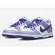 NIKE DUNK LOW GS 'BLUEBERRY' 2022 DZ4456-100