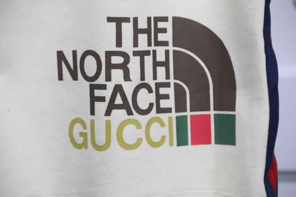 Gucci The North Face Shorts 2021 13 - www.kickbulk.org