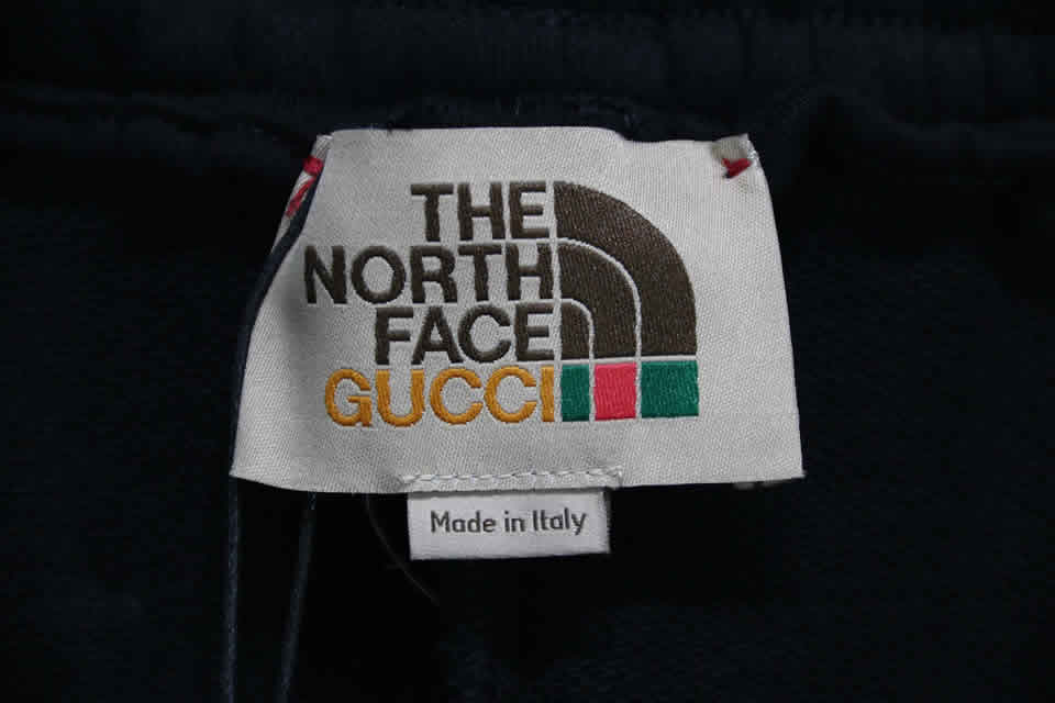 Gucci The North Face Shorts 2021 24 - www.kickbulk.org