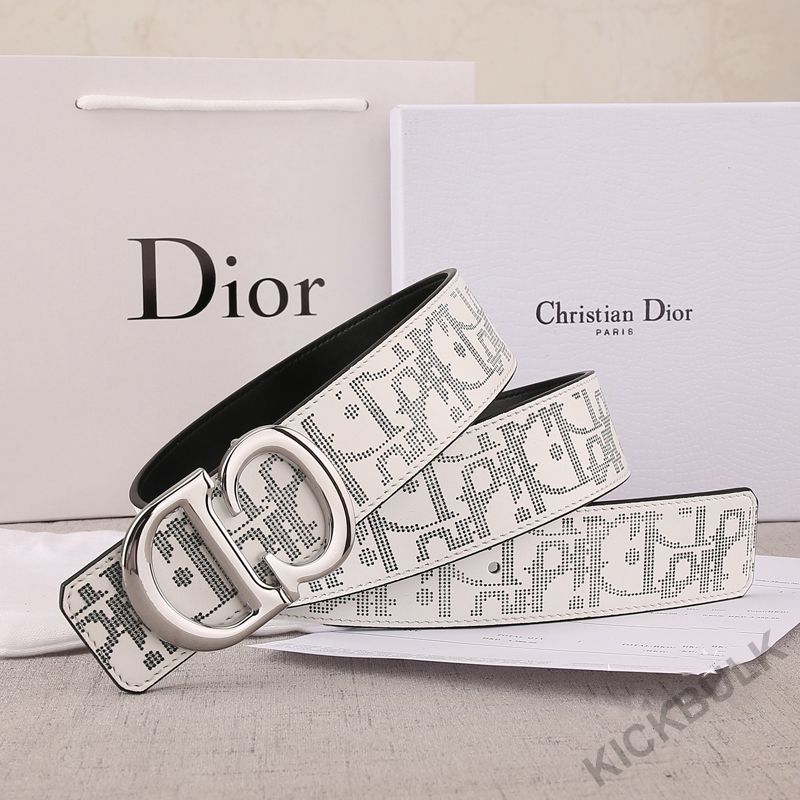 Dior Belt 12 - www.kickbulk.org