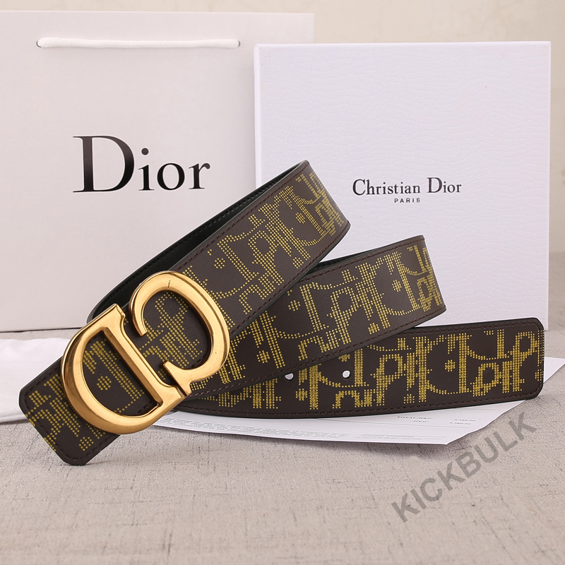 Dior Belt 18 - www.kickbulk.org