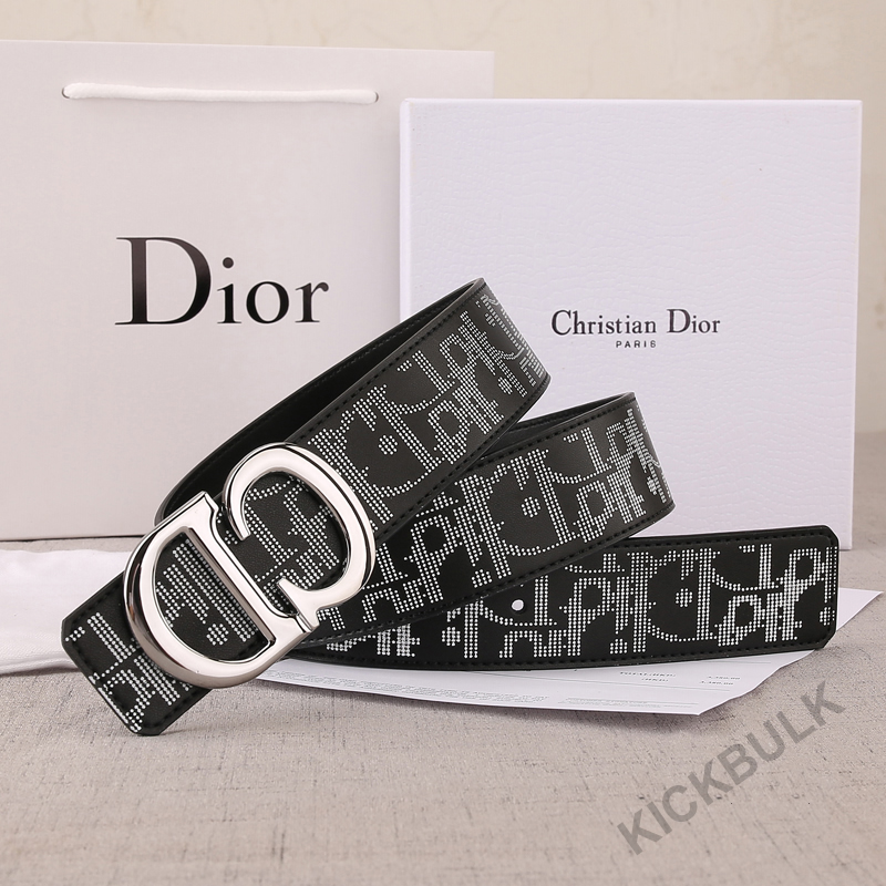 Dior Belt 9 - www.kickbulk.org