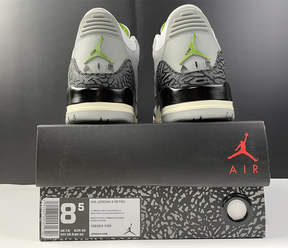 Nike Air Jordan 3 Retro Chlorophyll 136064 006 22 - www.kickbulk.org