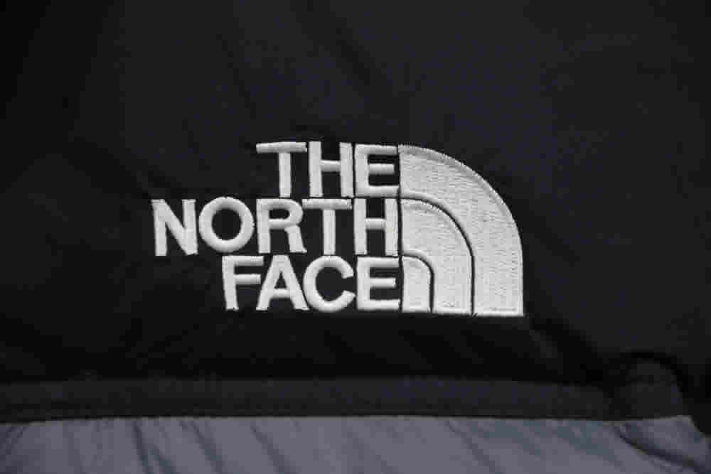 Invincible The North Face Down Jacket 15 - www.kickbulk.org