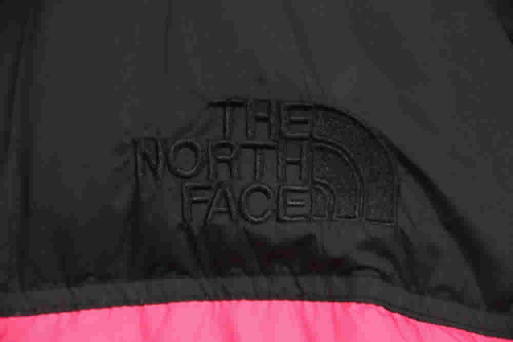Invincible The North Face Down Jacket 18 - www.kickbulk.org