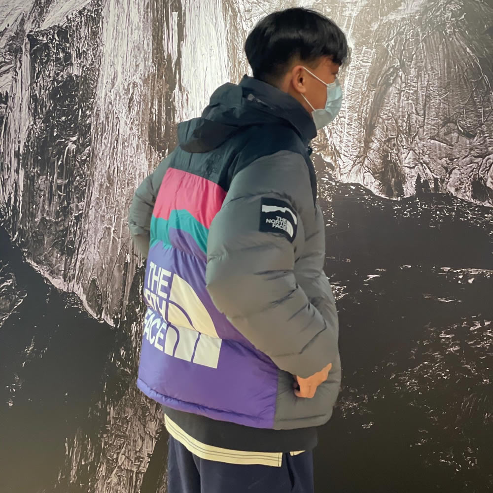 Invincible The North Face Down Jacket 4 - www.kickbulk.org