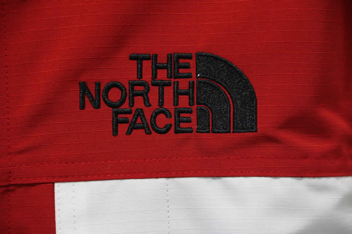 Supreme The North Face Outdoor Jacket 11 - www.kickbulk.org