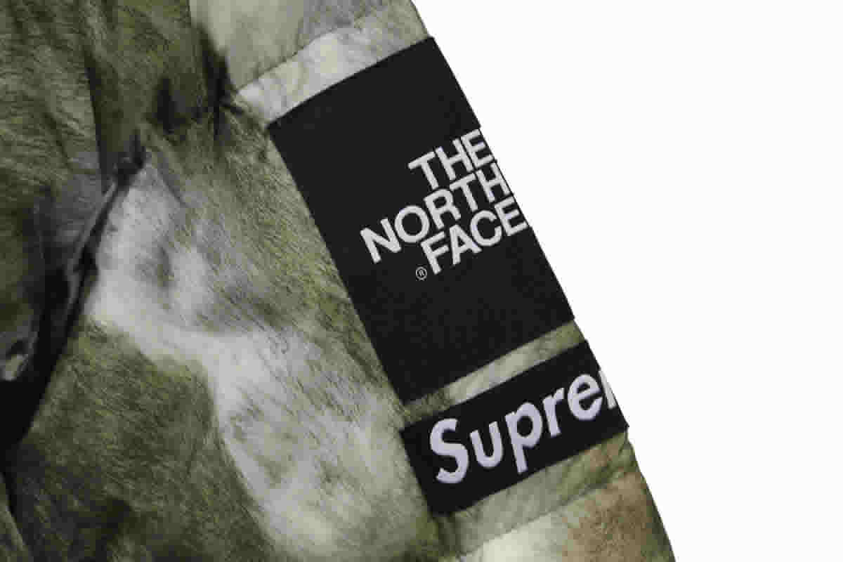 Supreme The North Face Horse Hair Down Jacket 9 - www.kickbulk.org
