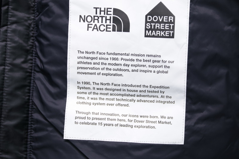 THE NORTH FACE x DSM 15th anniversary Down Jacket
