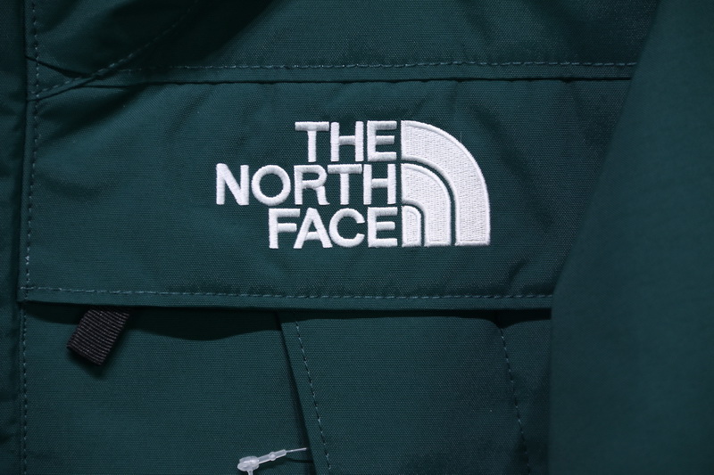 The North Face Polar Down Jacket Green 12 - www.kickbulk.org